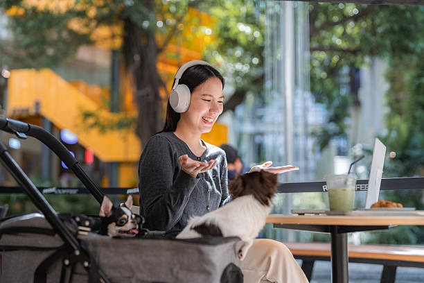 Everything You Need to Know About ESA Letter Online Services